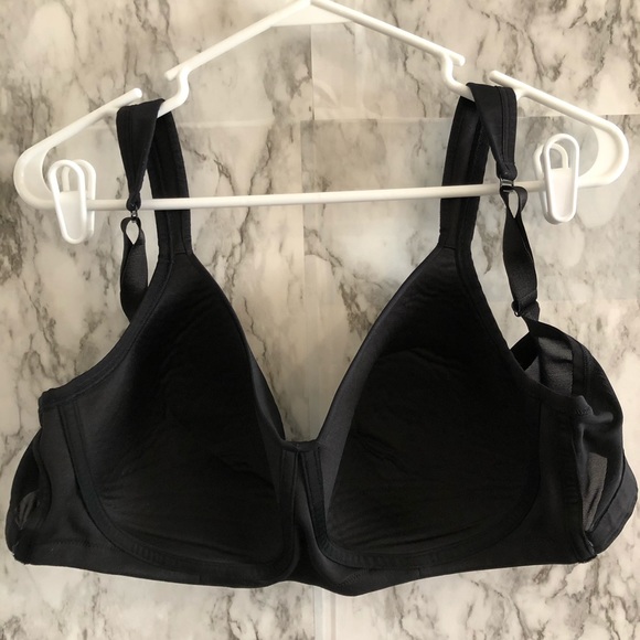 Cacique - Picture 5 of 8